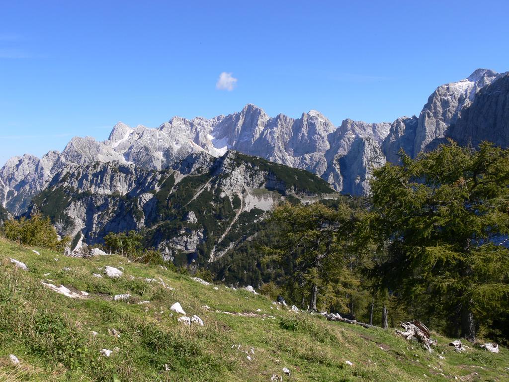Pod Ponco Apartments Kranjska Gora Exteriér fotografie