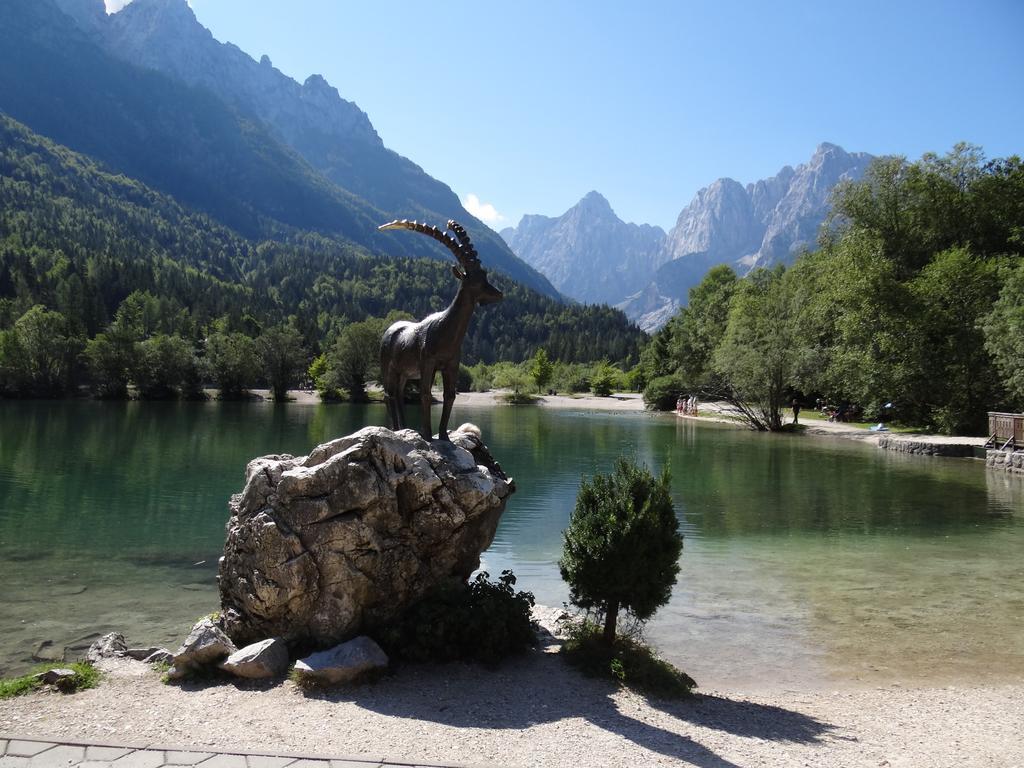 Pod Ponco Apartments Kranjska Gora Exteriér fotografie