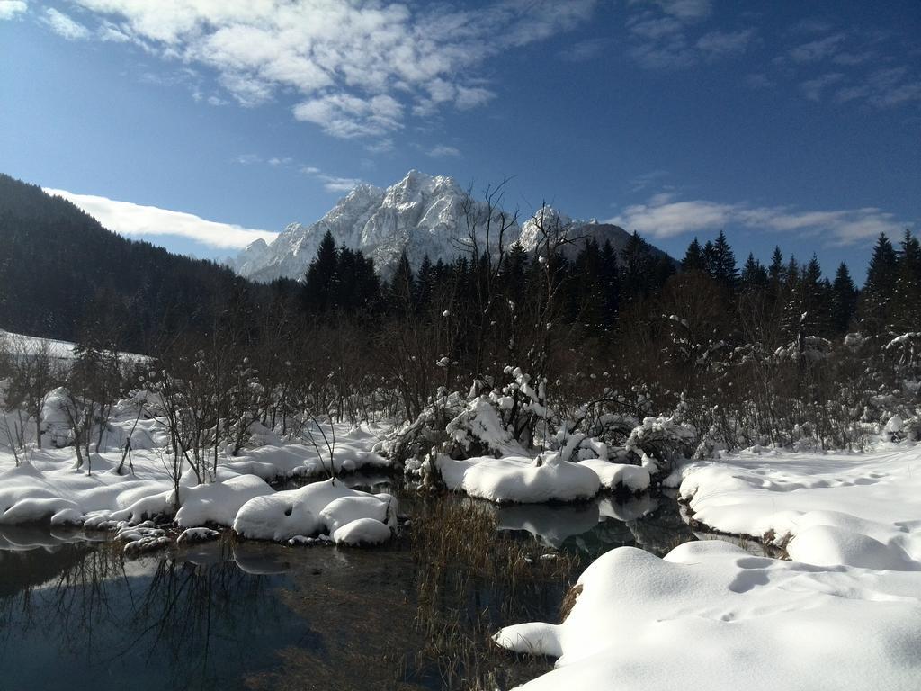Pod Ponco Apartments Kranjska Gora Exteriér fotografie